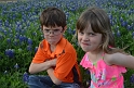 Kids_Bluebonnets2013 (181)